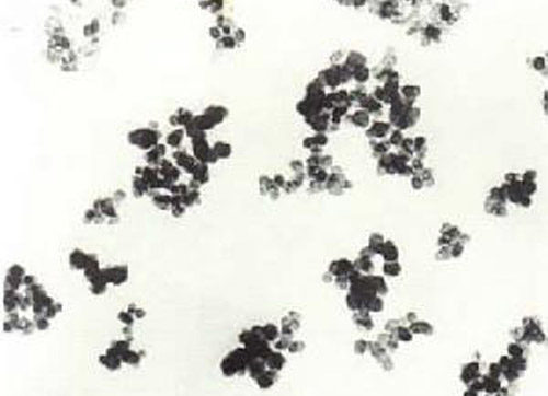 �ӹ���ɵğ�ⷨ̿�ڽY���D